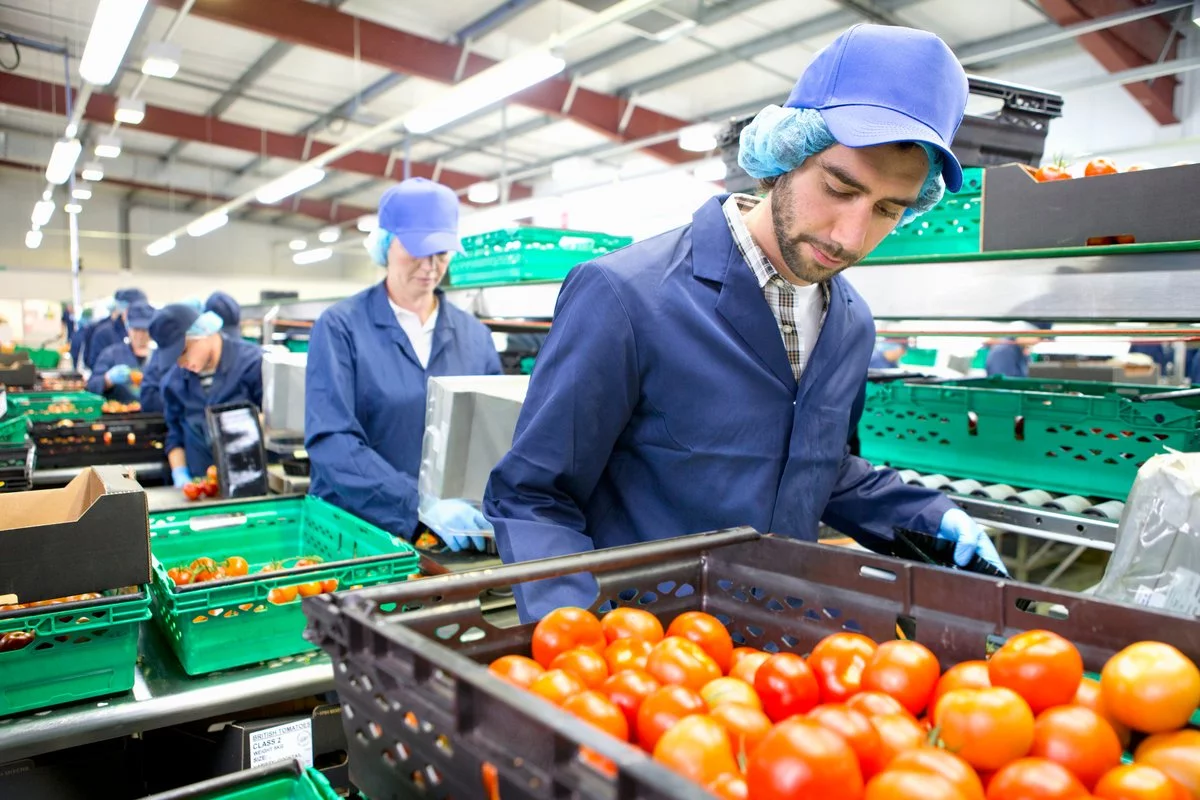 Alimentação